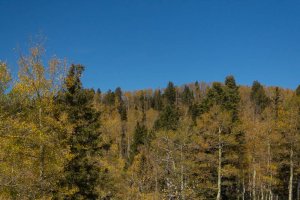 20201020FallColors2020137.jpg